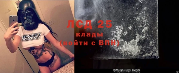 прущие грибы Навашино