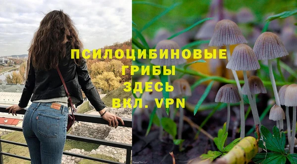 Альфа ПВП Надым