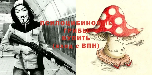 прущие грибы Навашино