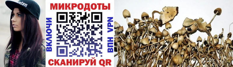 Галлюциногенные грибы GOLDEN TEACHER  Купить  Краснотурьинск 